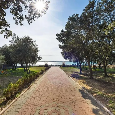 - Mulo 5951a * ורסי