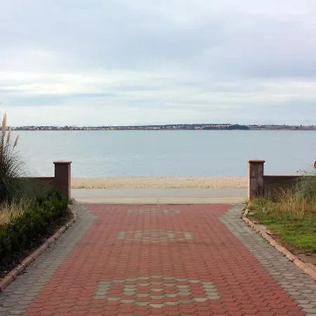 - Mulo 5951a * Vrsi